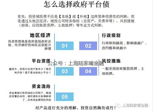政信城投項(xiàng)目性質(zhì)、政府角色與資本管理解析
