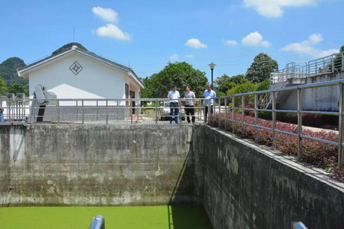 縣城市管理監督局深入葡萄鎮污水處理廠開展調研工作，聚焦智慧管理與綠色發展